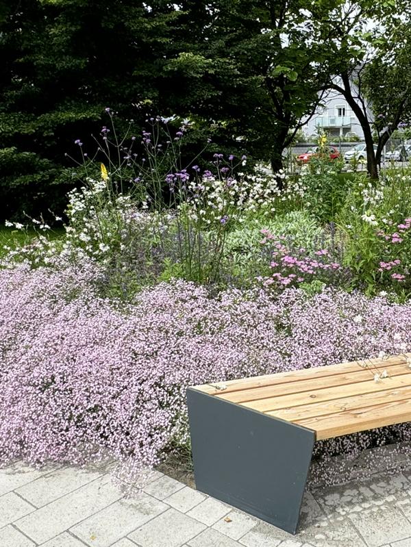 Staudenpflanzung Memmingen Schießstattgarten